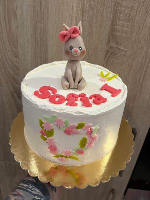 Detsketorty5785