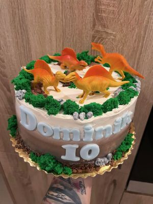 Detsketorty5814